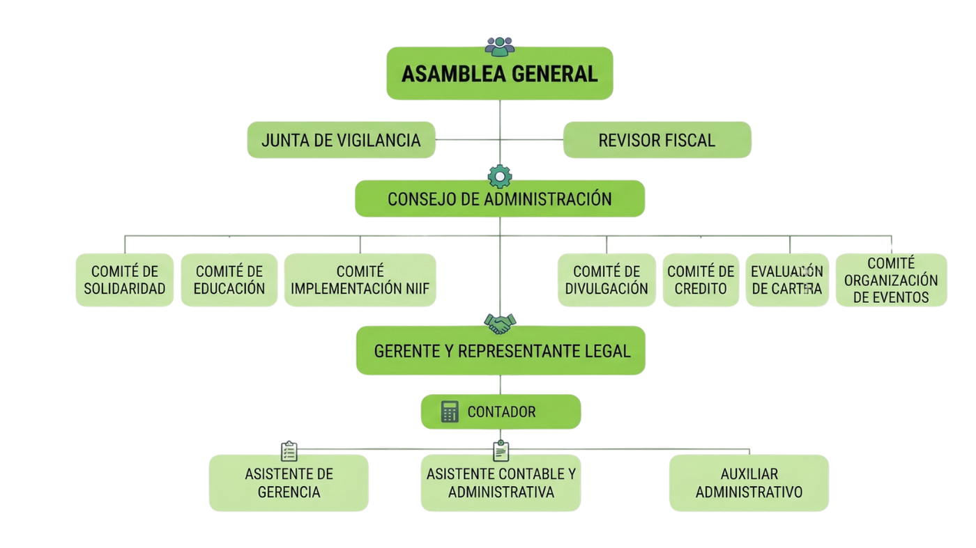 Organigrama Cooptadeo